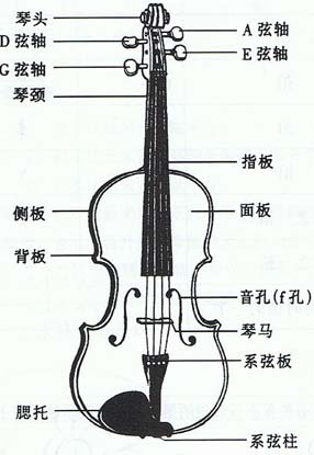 常见小提琴杂音的诊断和排除方法